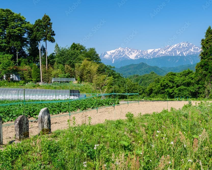 北信濃の風景