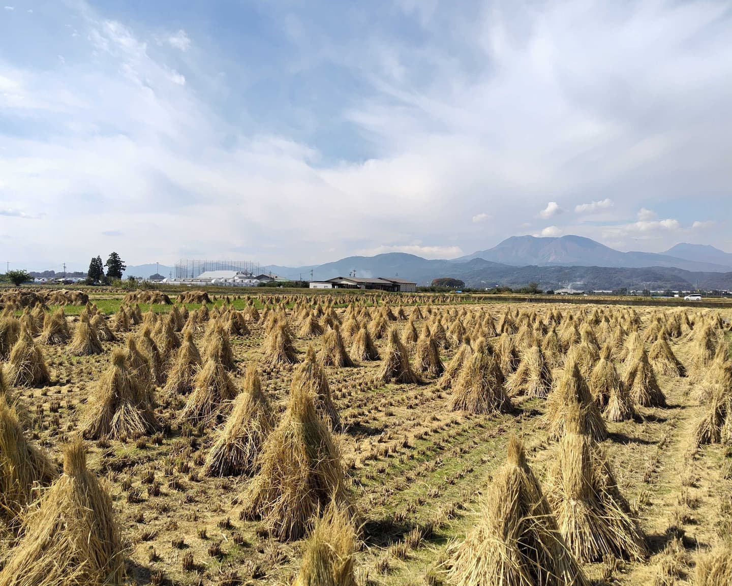 田園風景